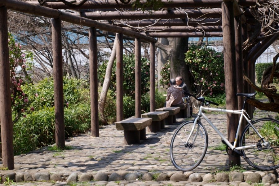 ปั่นจักรยานริมแม่น้ำทามะกาวะ
