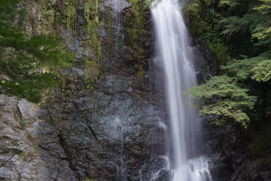 Minoo Park เที่ยวธรรมชาติแถวโอซาก้า