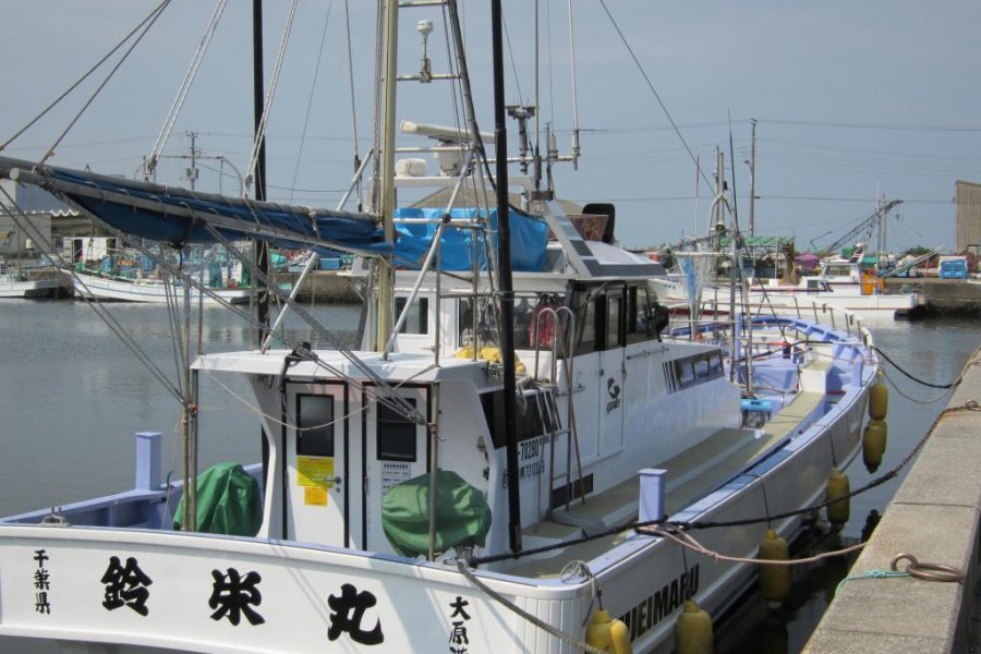 ตกปลาที่โชฟุคุมารุในโอฮาระ