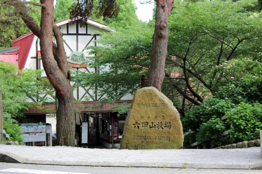 ร็อกโกะ เมาน์เท่น ฟาร์ม