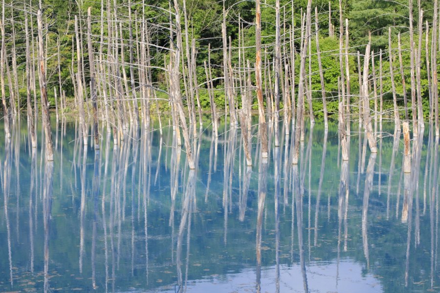 Blue Pond สระสีฟ้าสะท้อนเงา